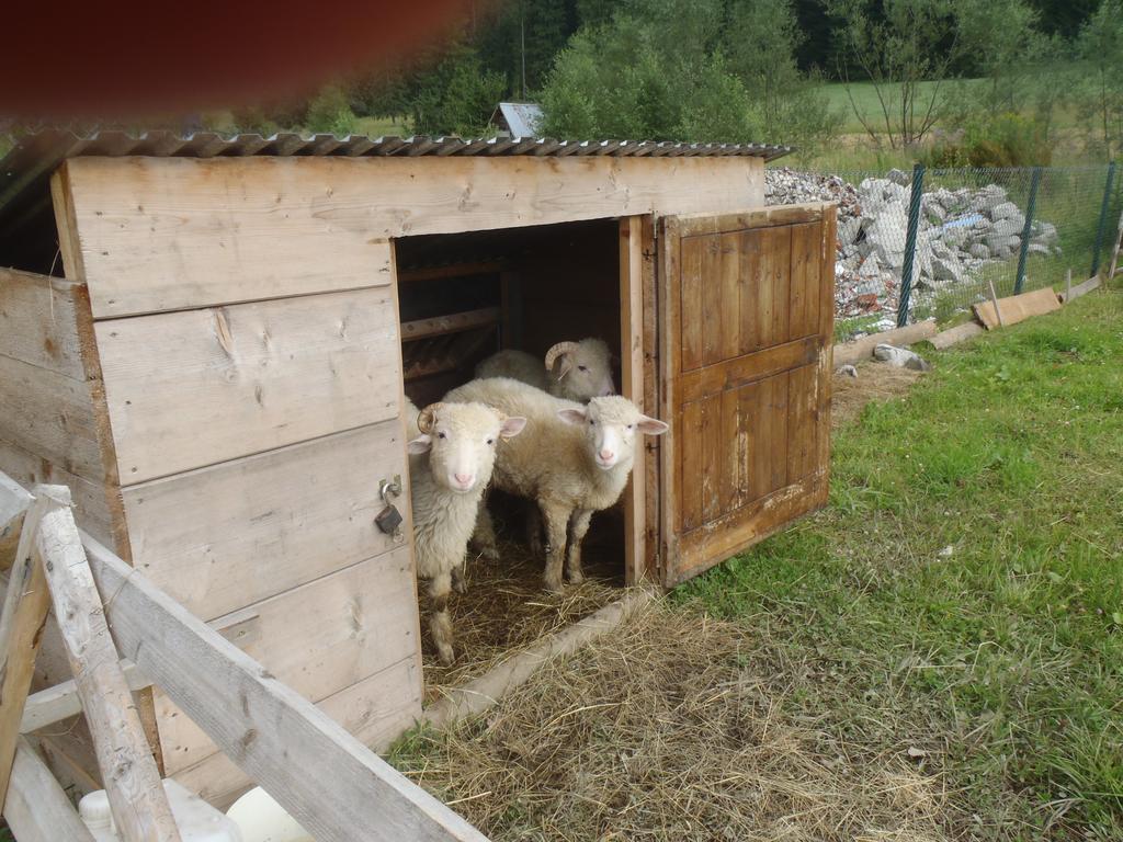 Privatunterkunft Na Potoku Zakopane